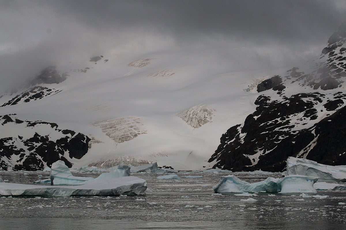 Antarctic Landscape 2236 - Digital File