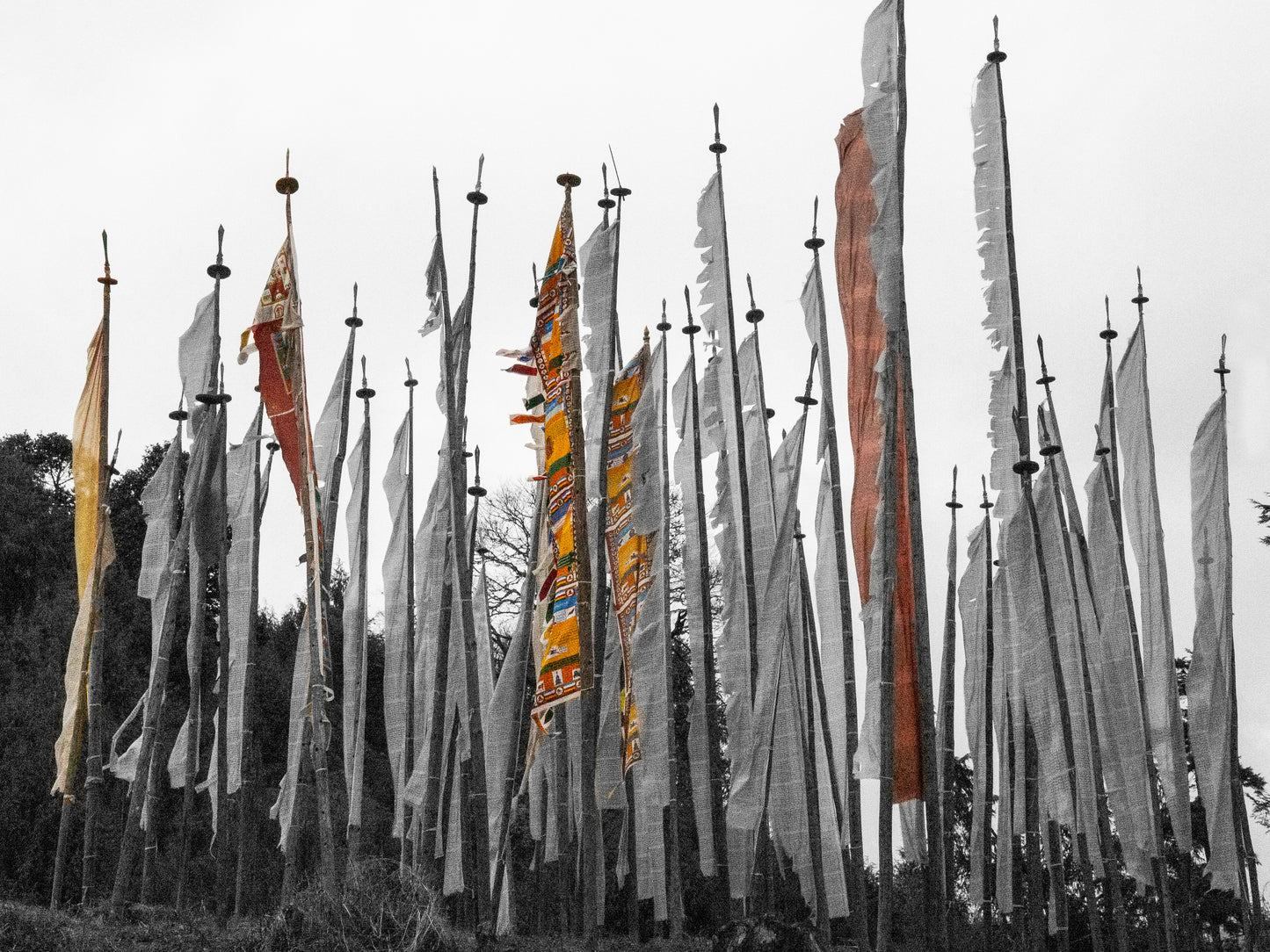 Bhutanese Flags 03 - Canvas