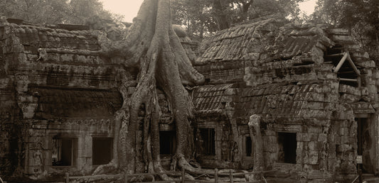 Cambodia Ta Prohm - Digital File