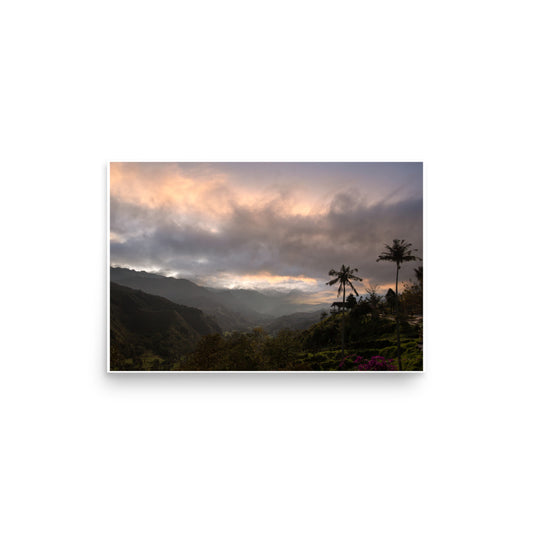 Cocora Valley 9872 - Poster